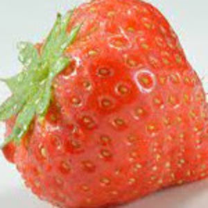 Meet your Posher, Avery